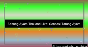 sabung ayam thailand live