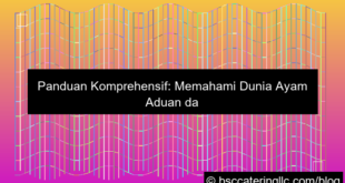 sabung ayam tutorial