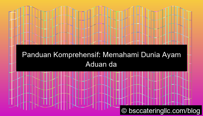 sabung ayam tutorial