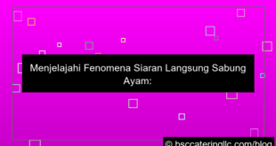 siaran langsung sabung ayam