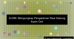 sv388 pengalaman real
