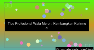 visual tips profesional wala meron