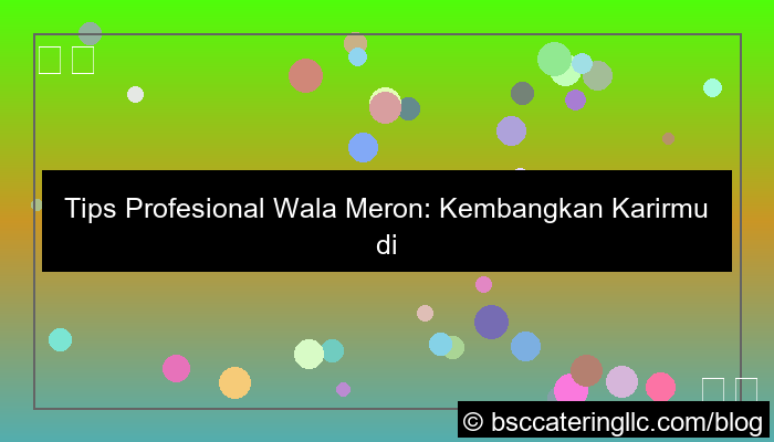visual tips profesional wala meron