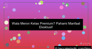 ilustrasi wala meron kelas premium