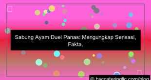 gambar sabung ayam duel panas