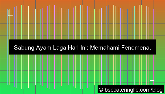sabung ayam laga hari ini