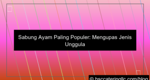gambar sabung ayam paling populer