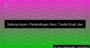 desain sabung ayam pertandingan seru